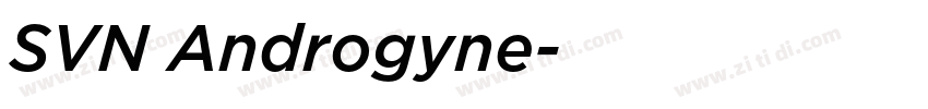 SVN Androgyne字体转换